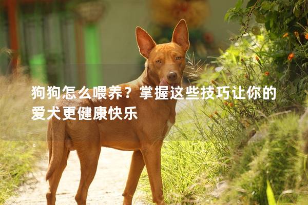 狗狗怎么喂養？掌握這些技巧讓你的愛犬更健康快樂