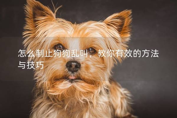 怎么制止狗狗亂叫，教你有效的方法與技巧