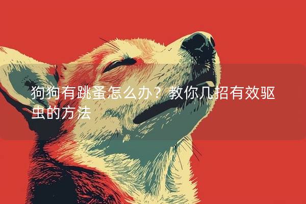 狗狗有跳蚤怎么辦?教你幾招有效驅蟲的方法 狗狗有跳蚤怎么辦?教你幾招有效驅蟲的方法