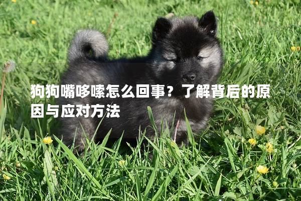 狗狗嘴哆嗦怎么回事？了解背后的原因與應對方法