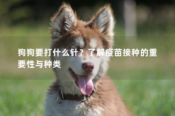 狗狗要打什么針？了解疫苗接種的重要性與種類(lèi)