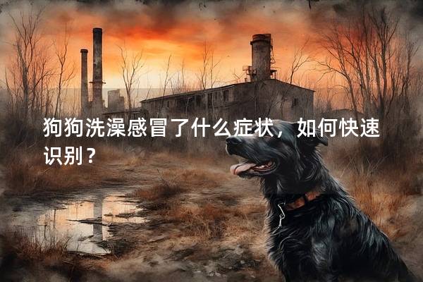 狗狗洗澡感冒了什么癥狀,如何快速識別? 狗狗洗澡感冒了什么癥狀,如何快速識別?