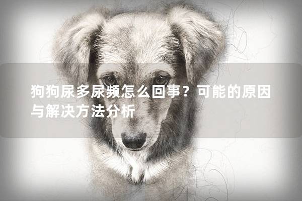 狗狗尿多尿頻怎么回事?可能的原因與解決方法分析 狗狗尿多尿頻怎么回事?可能的原因與解決方法分析