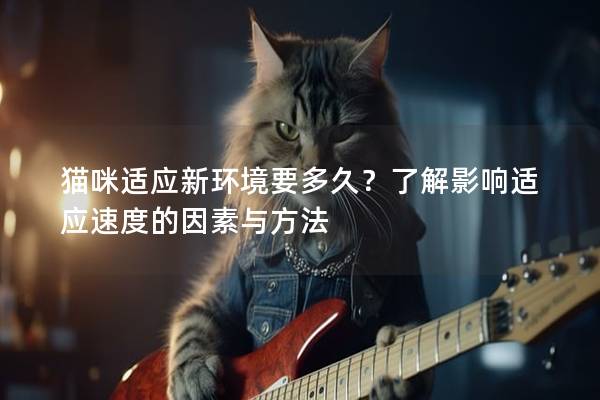 貓咪適應新環境要多久？了解影響適應速度的因素與方法