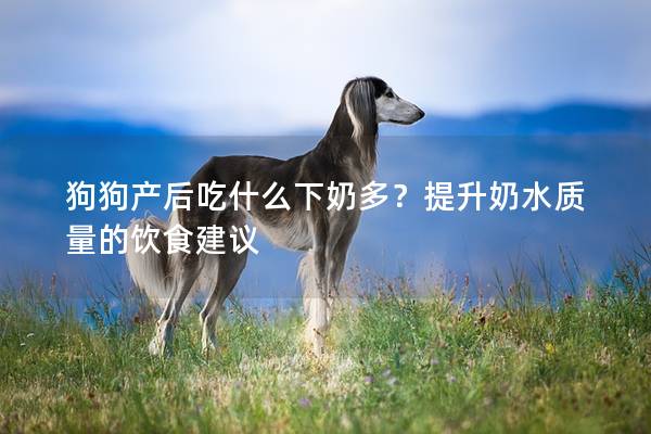 狗狗產后吃什么下奶多？提升奶水質量的飲食建議