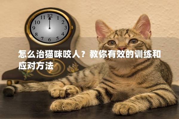 怎么治貓咪咬人？教你有效的訓練和應對方法