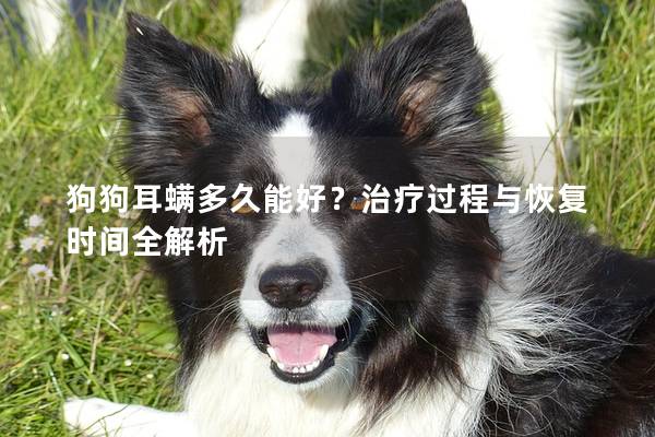 狗狗耳螨多久能好？治療過程與恢復時間全解析