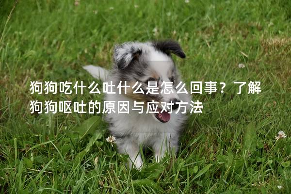 狗狗吃什么吐什么是怎么回事？了解狗狗嘔吐的原因與應對方法