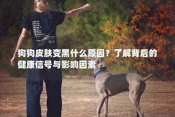 狗狗皮膚變黑什么原因？了解背后的健康信號與影響因素