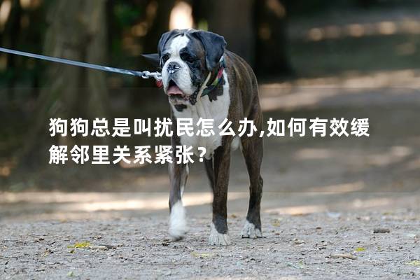 狗狗總是叫擾民怎么辦,如何有效緩解鄰里關系緊張？