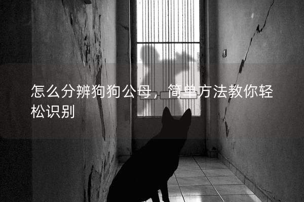 怎么分辨狗狗公母，簡單方法教你輕松識別