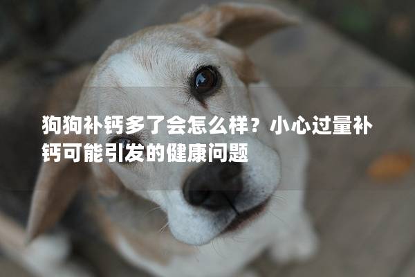 狗狗補鈣多了會怎么樣?小心過量補鈣可能引發的健康問題 狗狗補鈣多了會怎么樣?小心過量補鈣可能引發的健康問題