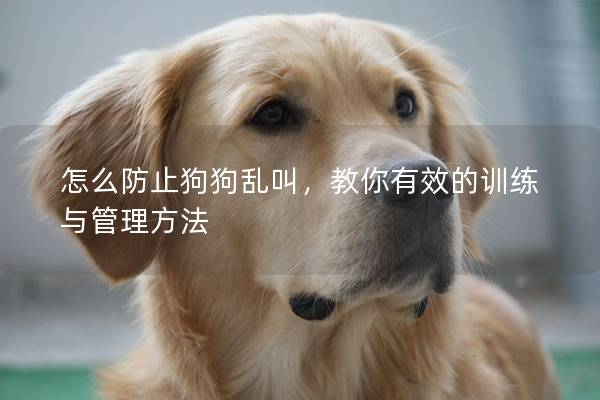 怎么防止狗狗亂叫,教你有效的訓練與管理方法 怎么防止狗狗亂叫,教你有效的訓練與管理方法