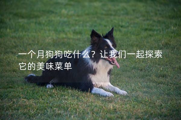 一個(gè)月狗狗吃什么?讓我們一起探索它的美味菜單 一個(gè)月狗狗吃什么?讓我們一起探索它的美味菜單