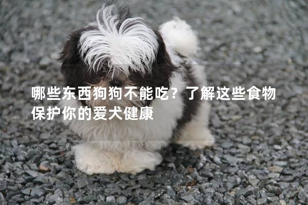 哪些東西狗狗不能吃？了解這些食物保護你的愛犬健康