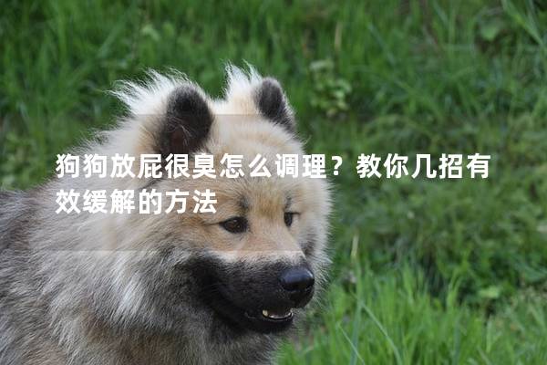 狗狗放屁很臭怎么調理？教你幾招有效緩解的方法