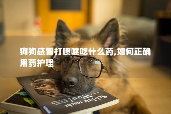 狗狗感冒打噴嚏吃什么藥,如何正確用藥護理 狗狗感冒打噴嚏吃什么藥,如何正確用藥護理