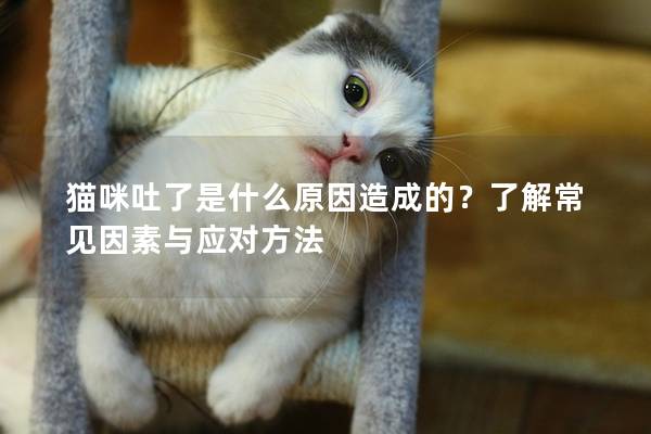 貓咪吐了是什么原因造成的?了解常見因素與應對方法 貓咪吐了是什么原因造成的?了解常見因素與應對方法