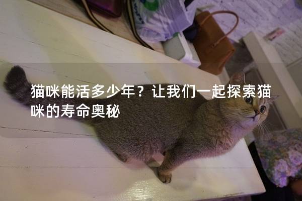 貓咪能活多少年？讓我們一起探索貓咪的壽命奧秘