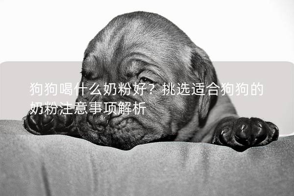 狗狗喝什么奶粉好？挑選適合狗狗的奶粉注意事項解析