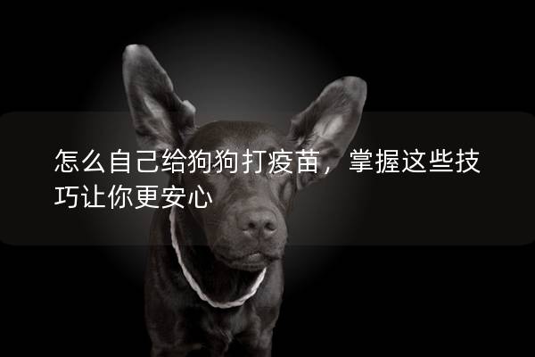 怎么自己給狗狗打疫苗，掌握這些技巧讓你更安心