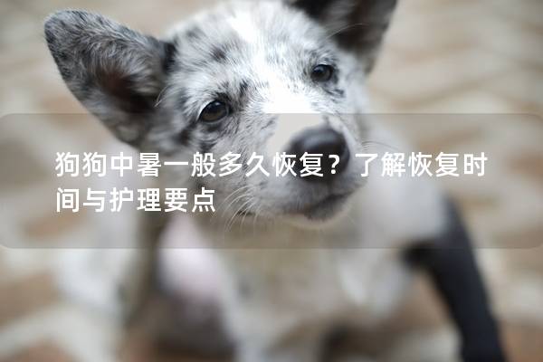 狗狗中暑一般多久恢復？了解恢復時間與護理要點
