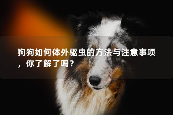 狗狗如何體外驅蟲的方法與注意事項，你了解了嗎？