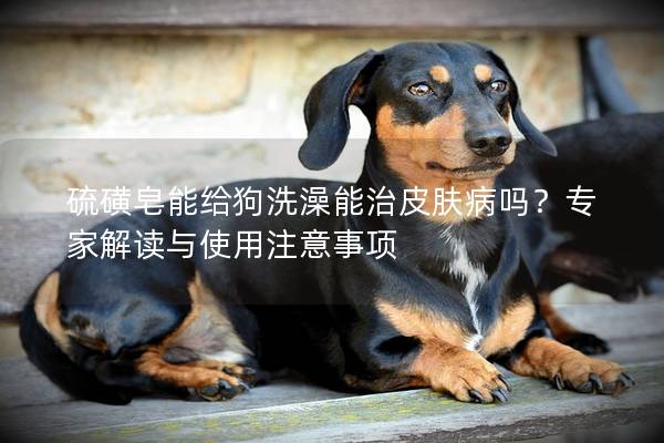 硫磺皂能給狗洗澡能治皮膚病嗎?專家解讀與使用注意事項 硫磺皂能給狗洗澡能治皮膚病嗎?專家解讀與使用注意事項