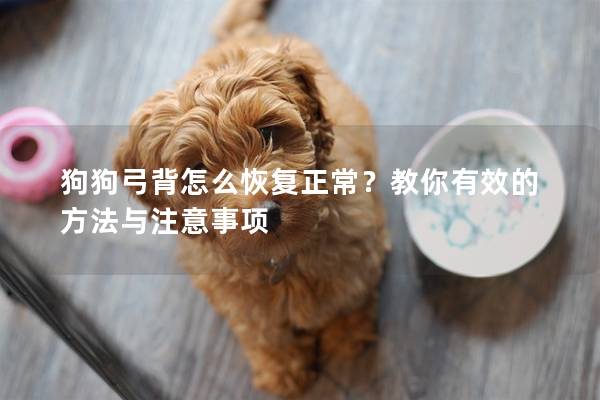 狗狗弓背怎么恢復(fù)正常？教你有效的方法與注意事項(xiàng)