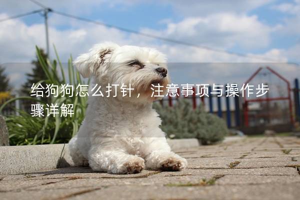 給狗狗怎么打針，注意事項與操作步驟詳解