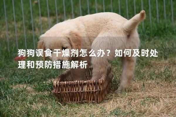 狗狗誤食干燥劑怎么辦？如何及時處理和預防措施解析