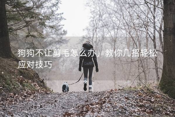 狗狗不讓剪毛怎么辦，教你幾招輕松應對技巧