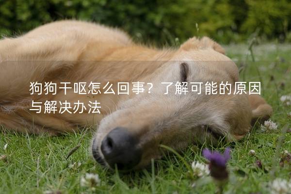 狗狗干嘔怎么回事？了解可能的原因與解決辦法