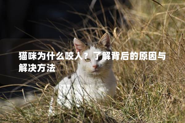 貓咪為什么咬人？了解背后的原因與解決方法