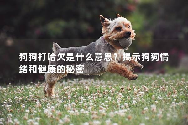 狗狗打哈欠是什么意思？揭示狗狗情緒和健康的秘密