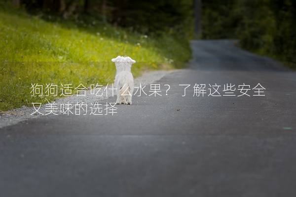 狗狗適合吃什么水果？了解這些安全又美味的選擇
