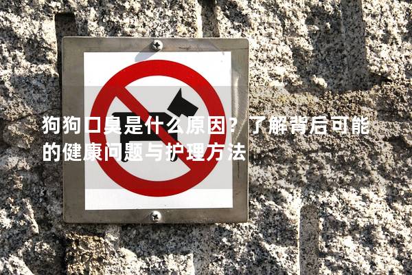 狗狗口臭是什么原因？了解背后可能的健康問題與護(hù)理方法
