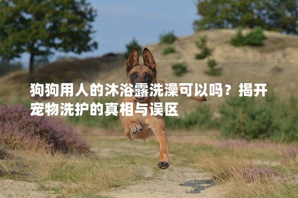 狗狗用人的沐浴露洗澡可以嗎?揭開寵物洗護的真相與誤區(qū) 狗狗用人的沐浴露洗澡可以嗎?揭開寵物洗護的真相與誤區(qū)