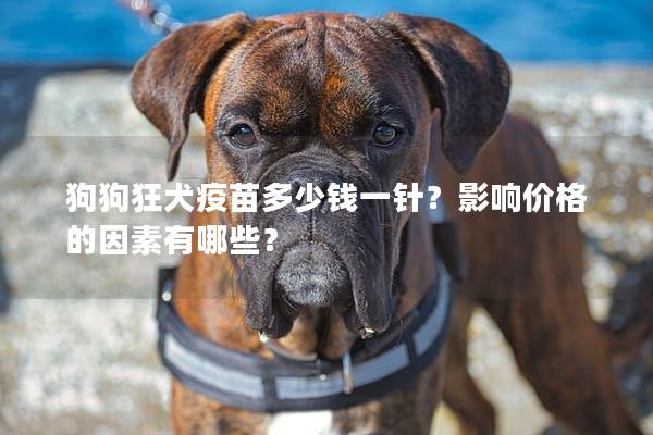 狗狗狂犬疫苗多少錢一針？影響價格的因素有哪些？