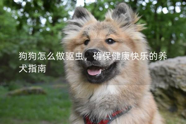 狗狗怎么做驅蟲，確保健康快樂的養犬指南