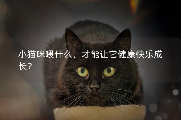 小貓咪喂什么，才能讓它健康快樂成長？
