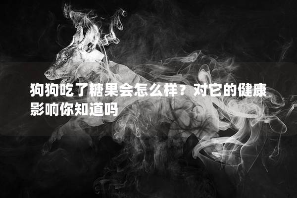 狗狗吃了糖果會怎么樣？對它的健康影響你知道嗎