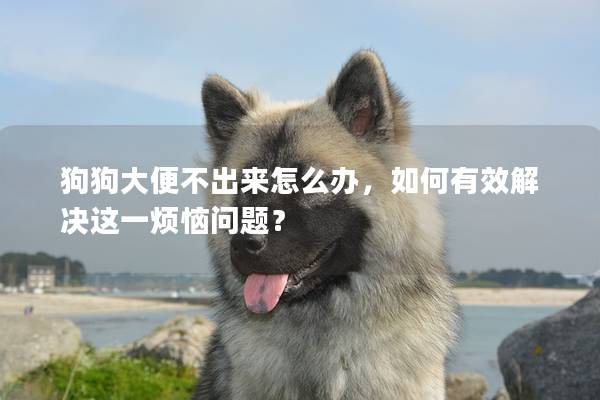 狗狗大便不出來怎么辦，如何有效解決這一煩惱問題？