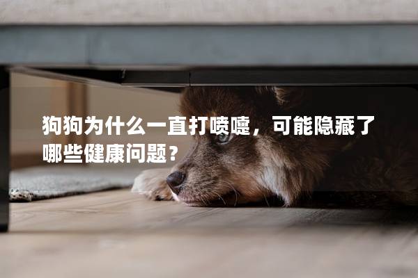 狗狗為什么一直打噴嚏，可能隱藏了哪些健康問題？