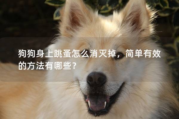 狗狗身上跳蚤怎么消滅掉，簡單有效的方法有哪些？