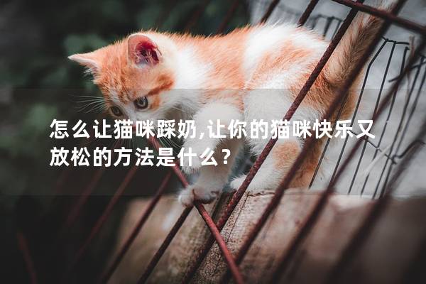 怎么讓貓咪踩奶,讓你的貓咪快樂又放松的方法是什么？